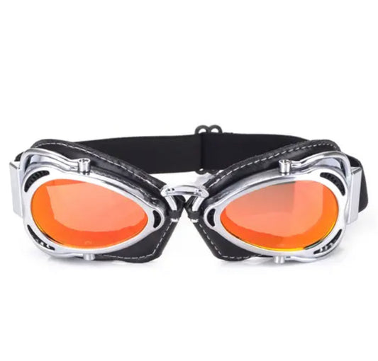 Motorcycle  Goggles